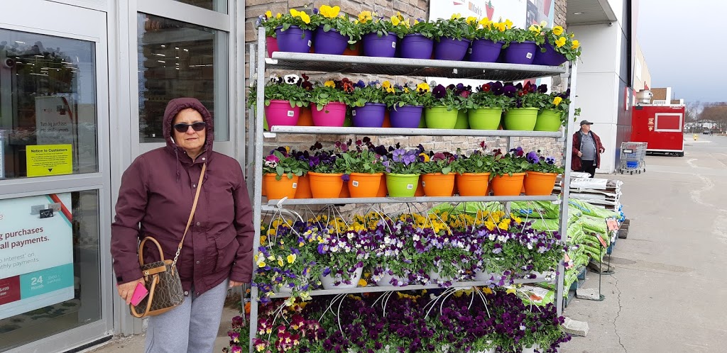 Canadian Tire | 441 Gibb St, Oshawa, ON L1J 1Z4, Canada | Phone: (905) 728-6272
