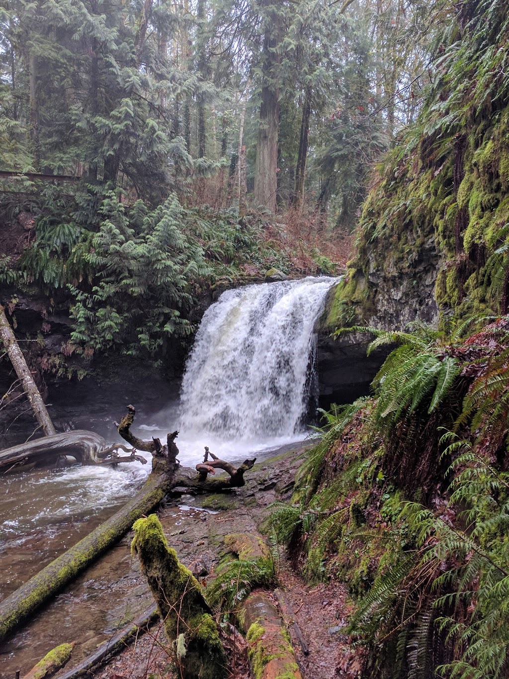 Gourlay-Janes Park | 405 Chemainus Rd, Ladysmith, BC V9G 1Y3, Canada | Phone: (250) 245-6424