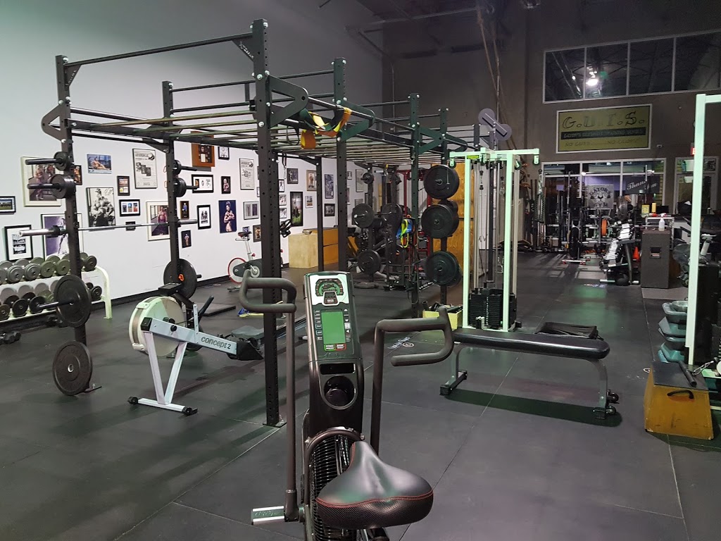 Gators Gym | 17670 65a Ave, Surrey, BC V3S 5N4, Canada | Phone: (604) 574-4811