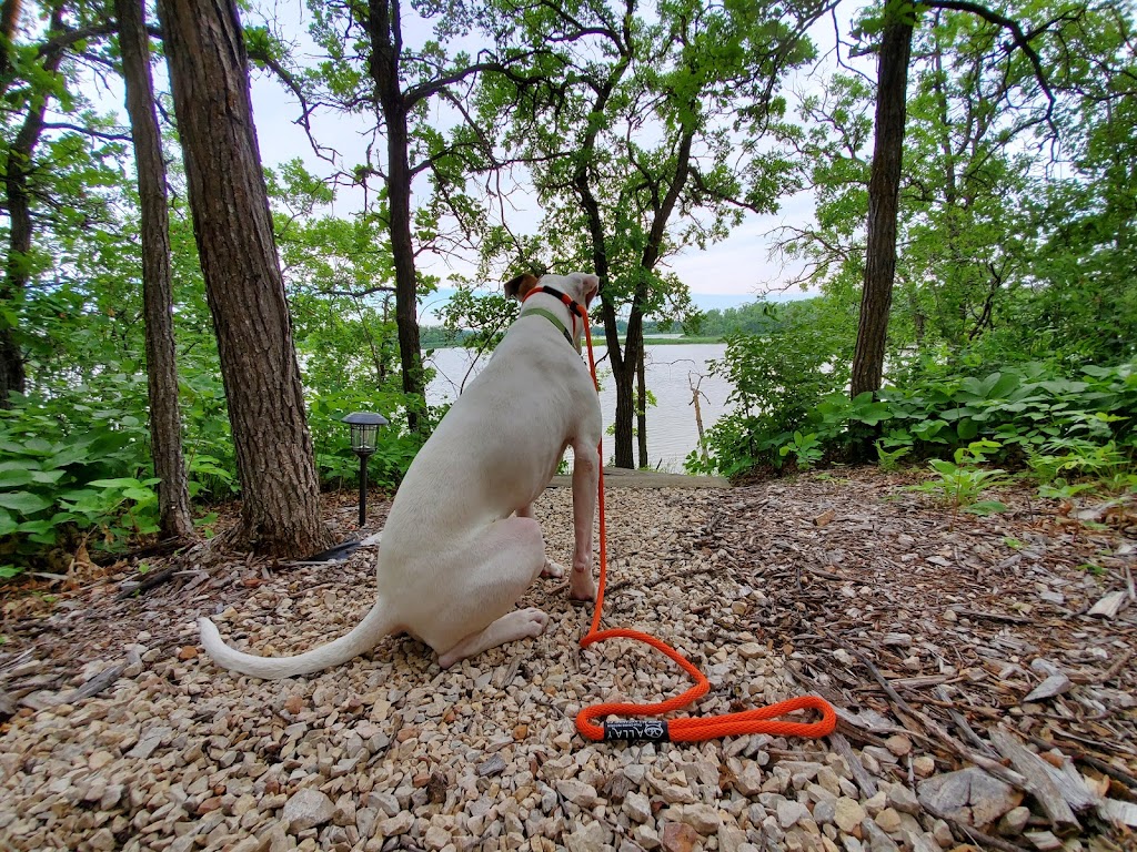 ALLAY Calm Canine | Wellink Dr, East Selkirk, MB R0E 0M0, Canada | Phone: (204) 485-5117