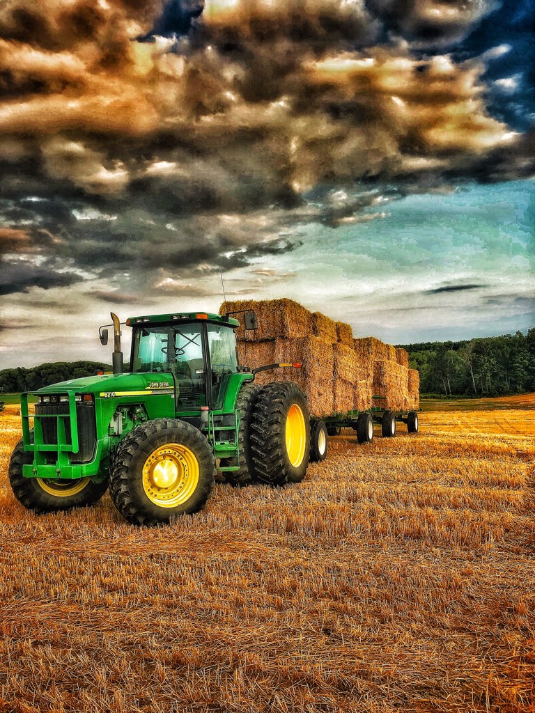 Cashtown Farms | 2371 County Rd 42, Stayner, ON L0M 1S0, Canada | Phone: (705) 790-7852