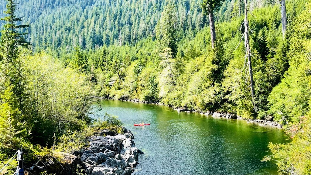 WestCoast WILD Zipline | 51861 Pacific Rim Hwy, Alberni-Clayoquot, BC V0R 2Z0, Canada | Phone: (877) 992-9453