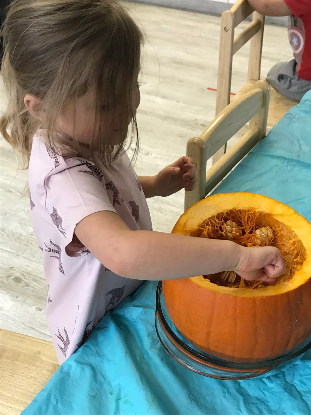 Montessori Early Learning Centre | 20 Douglas Woods Dr SE unit 44, Calgary, AB T2Z 1K4, Canada | Phone: (403) 399-0021