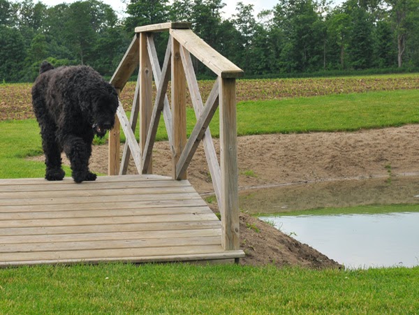 Beastmaster Farm | 1226 Beitz Rd, Breslau, ON N0B 1M0, Canada | Phone: (519) 635-4195
