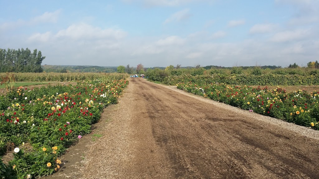 Andrews Scenic Acres | 9365 10 Side Rd, Milton, ON L9T 2X9, Canada | Phone: (905) 878-5807