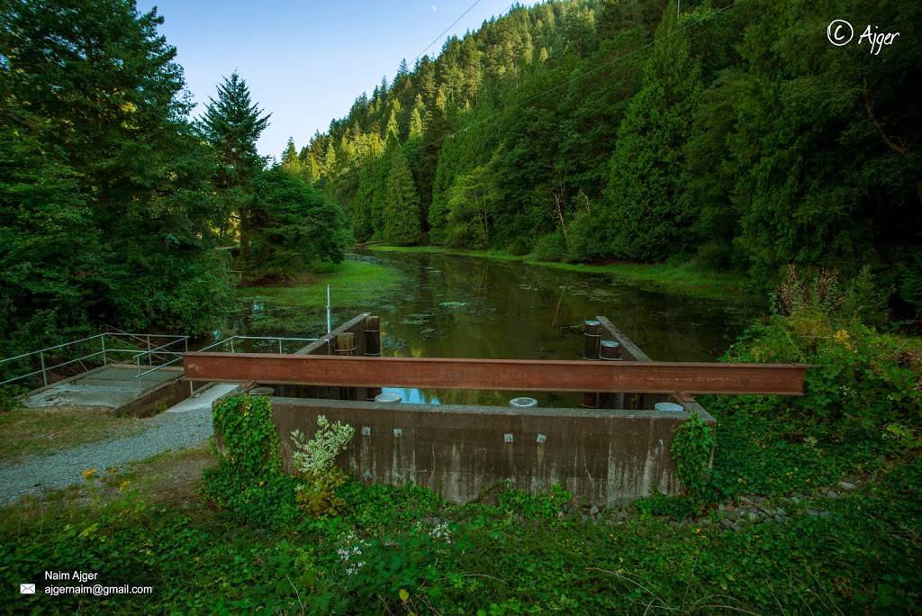 Miami Bridges Trail Head | Harrison Hot Springs, BC V0M 1A3, Canada