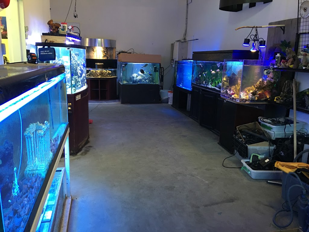 FishGuys Calgary | 12180 44 St SE Slip 10, Calgary, AB T2Z 4A2, Canada | Phone: (587) 429-3494