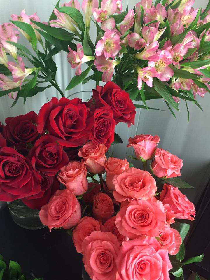 Pépinière- Fleuriste Daigneault | 455 Chemin de Touraine, Sainte-Julie, QC J3E 1Y2, Canada | Phone: (450) 649-0125
