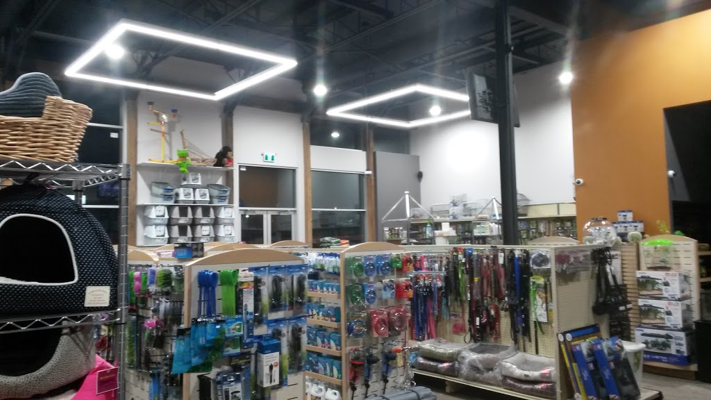 Animalerie Roufi | 855 Boulevard Ouellet, Thetford Mines, QC G6G 4X7, Canada | Phone: (418) 335-6147