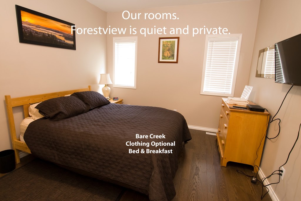 Bare Creek Clothing Optional Bed & Breakfast | 12216 New McLellan Rd, Surrey, BC V3X 2Y1, Canada | Phone: (778) 565-7637
