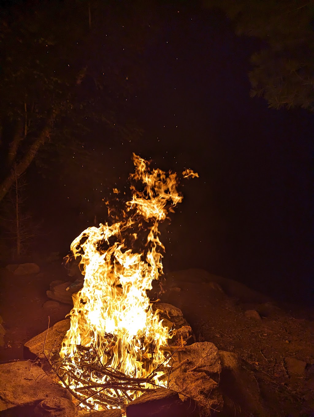 La Vérendrye Wildlife Reserve | 1070 3e avenue est, Val-dOr, QC J9P 0J6, Canada | Phone: (819) 354-4392