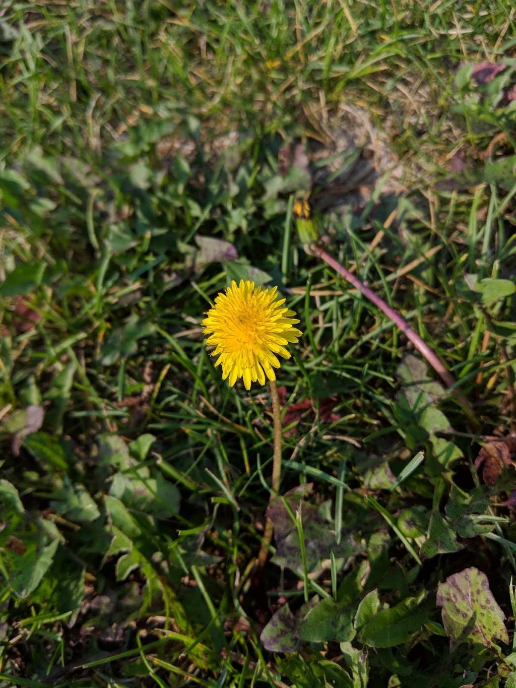Blackmud Creek Park | Blackmud Creek, Edmonton, AB T6W 1J8, Canada