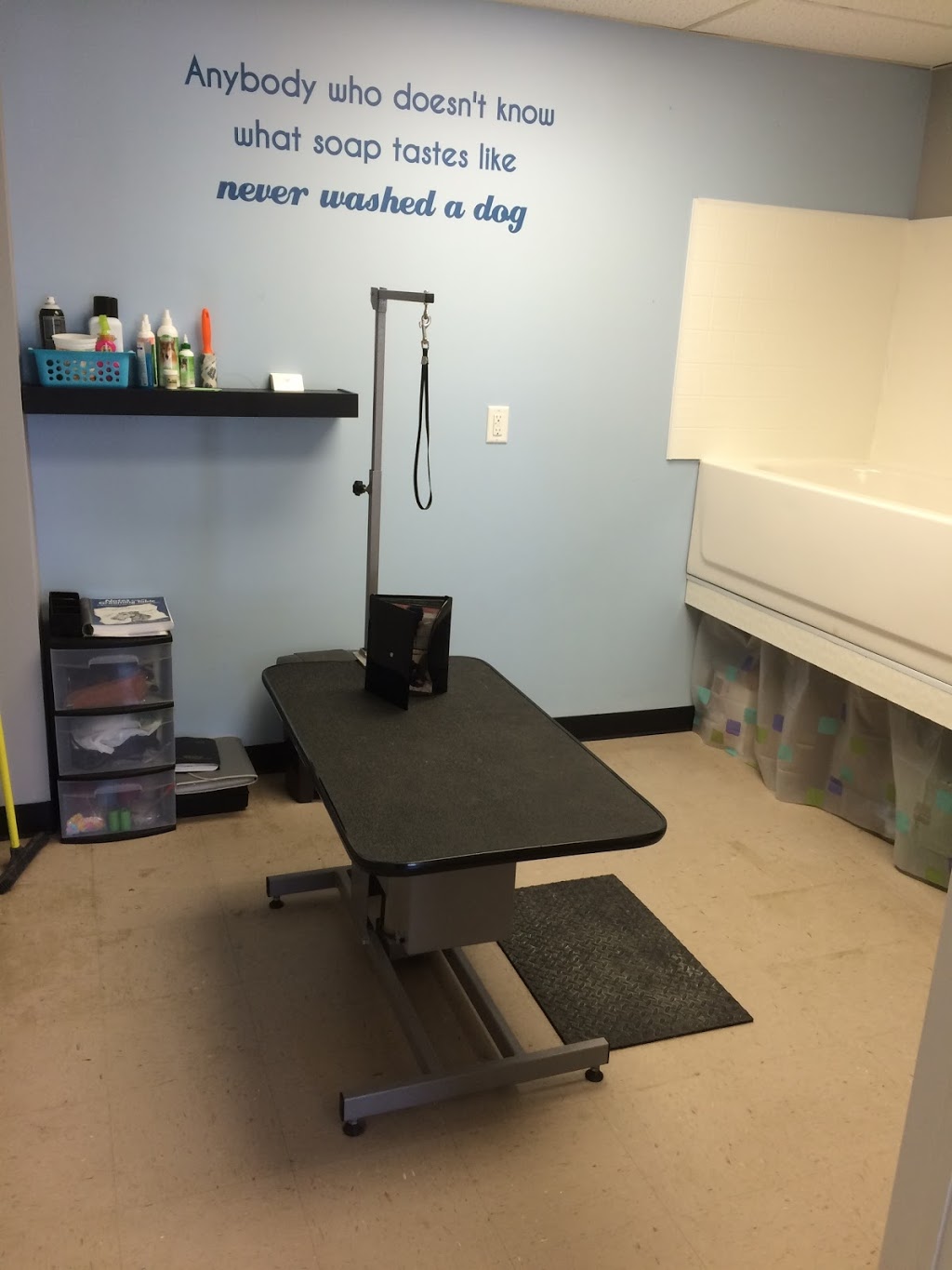 Unleash the Pawsitive | 1119 Goderich St, Port Elgin, ON N0H 2C0, Canada | Phone: (519) 708-0470
