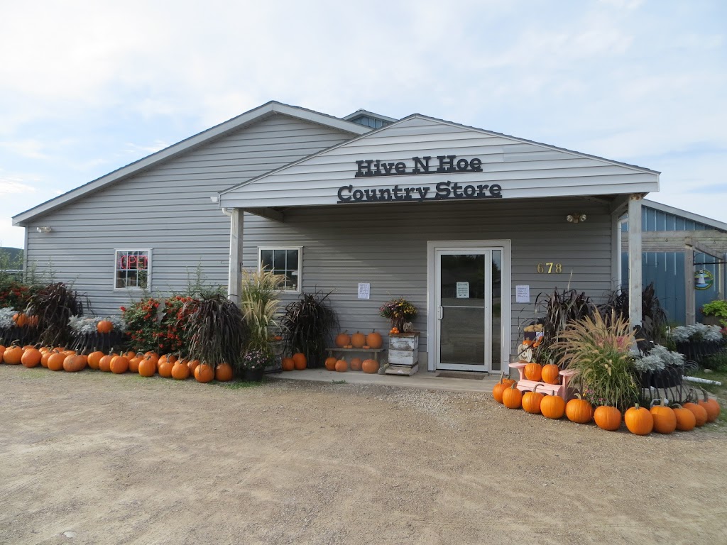 Hive N Hoe Country Store | 678 Kincardine Ave, Kincardine, ON N2Z 2W3, Canada | Phone: (519) 396-3529