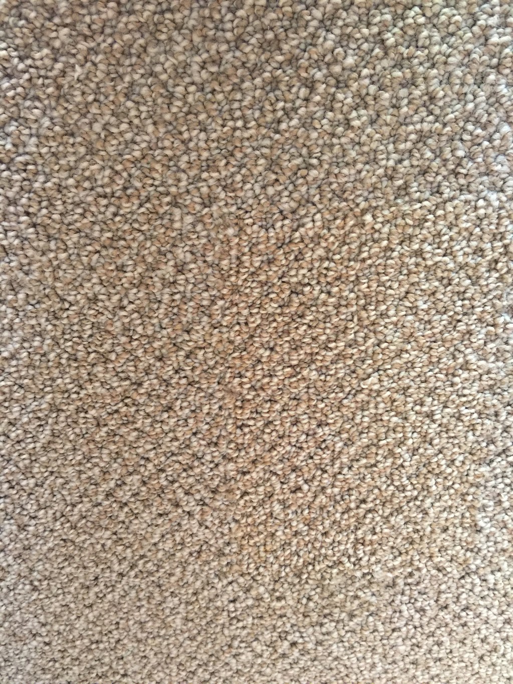 Calgary Carpet Repair & Cleaning | 16 Lake Adams Pl SE, Calgary, AB T2J 3S8, Canada | Phone: (587) 317-5646