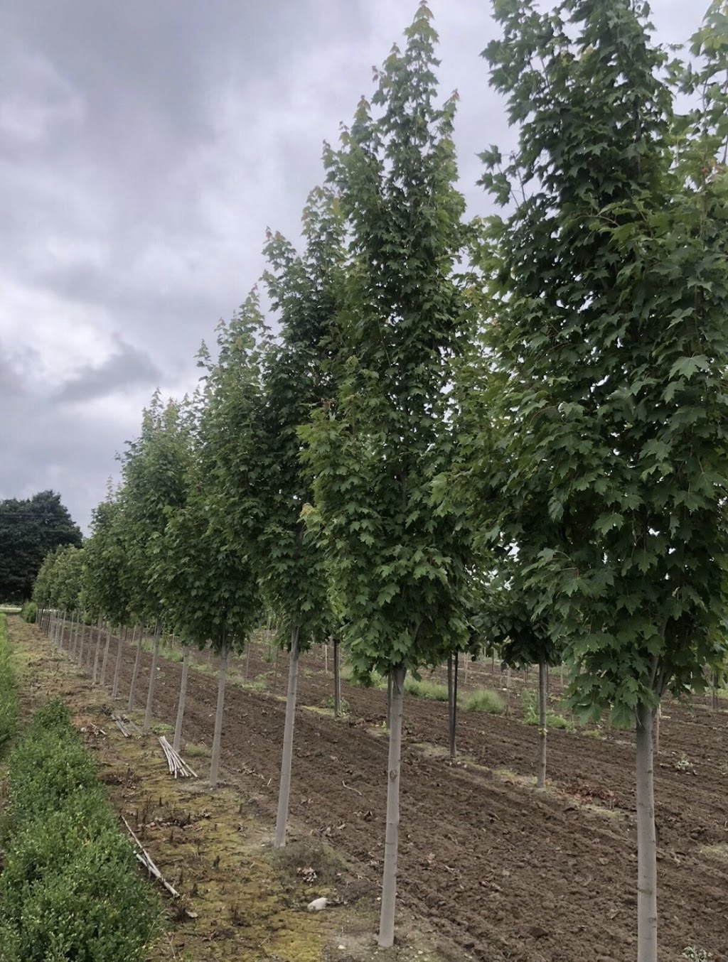 Three Generation Farms | ON-10, Mono, ON L9V 0Z6, Canada | Phone: (416) 845-5700