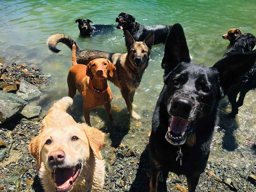 Just Doggin It Adventures Ltd. | 6611 Bear Lake Rd, Mesachie Lake, BC V0R 2N0, Canada | Phone: (250) 580-8364