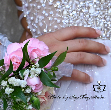 Say Cheez Studio | 745 Guildwood Blvd, London, ON N6H 5G2, Canada | Phone: (226) 504-3161