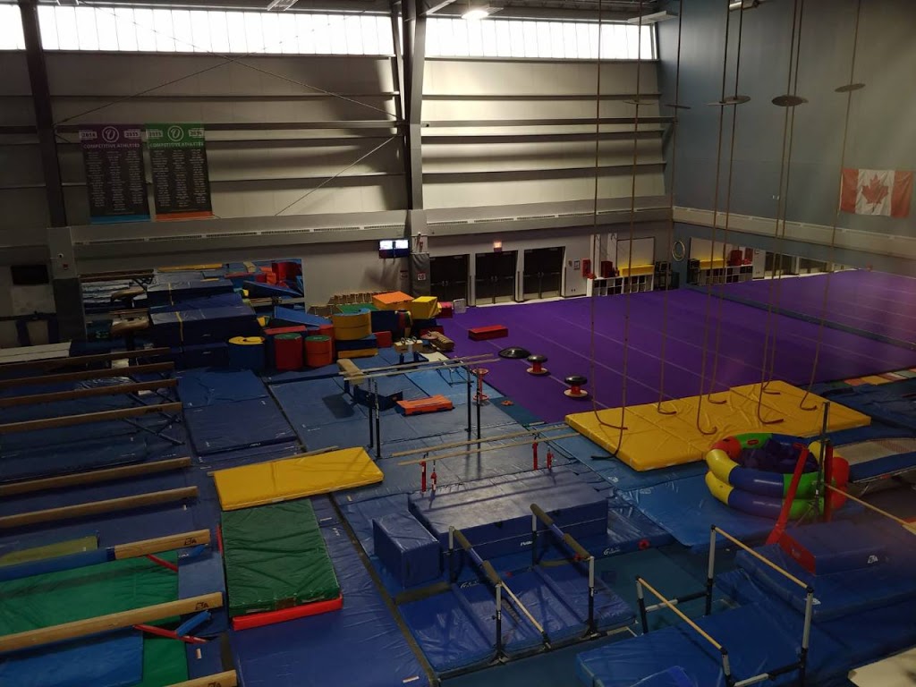 Ortona Gymnastics Club | Saville Community Sports Centre, 11610 65 Ave NW, Edmonton, AB T6G 2E1, Canada | Phone: (780) 492-7300