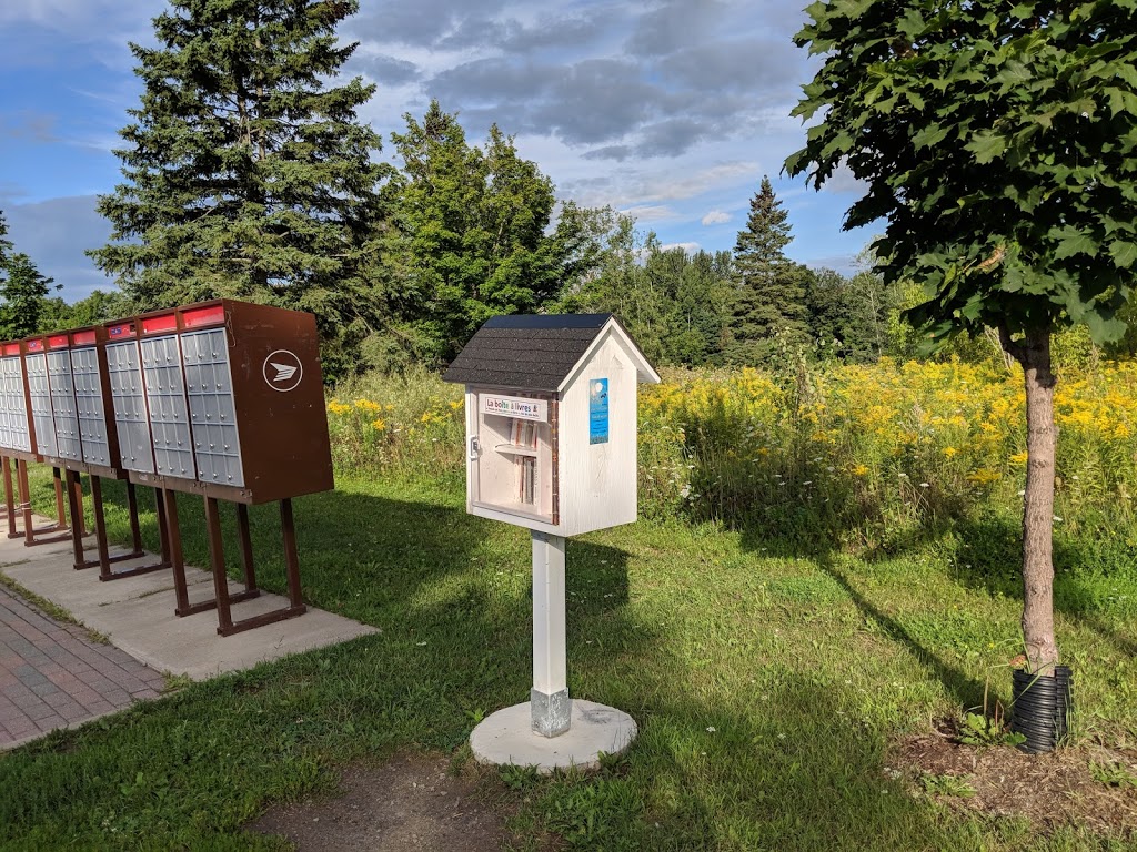 Box Books | 981 Rue de la Canardière, Saint-Jérôme, QC J5L, Canada