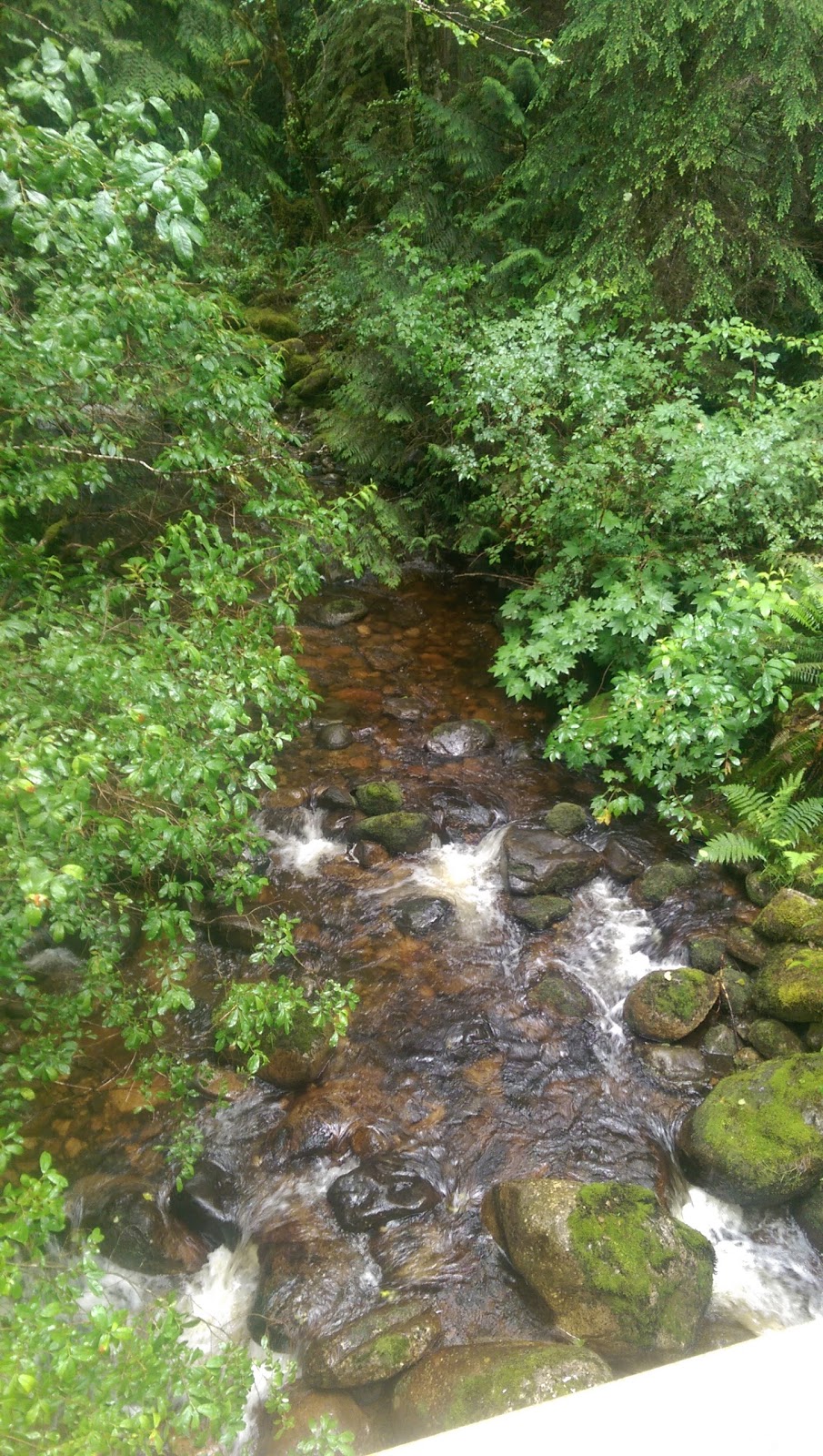 Mount Elphinstone Provincial Park | Crow Road, Roberts Creek, BC V0N 2W1, Canada | Phone: (800) 689-9025