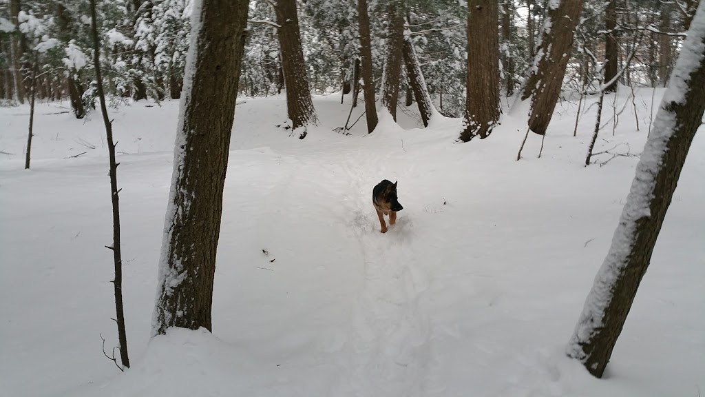Tom Edwards Park | 85 Tom Edwards Dr, Whitby, ON L1R 2S5, Canada | Phone: (905) 430-4310