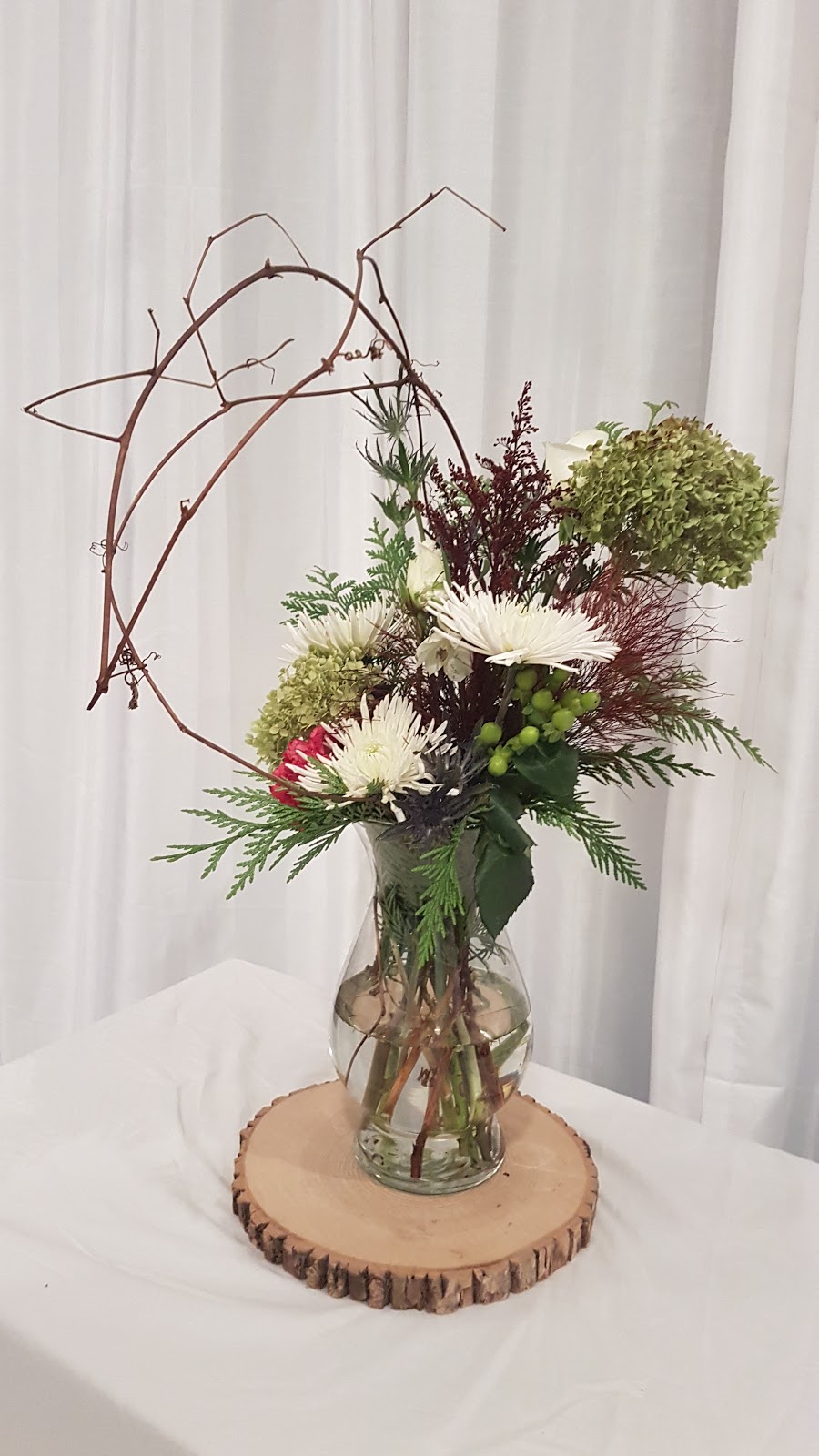 Aster & Evergreen | 2119 Dundas St Box 385, Cardinal, ON K0E 1E0, Canada | Phone: (343) 260-9911