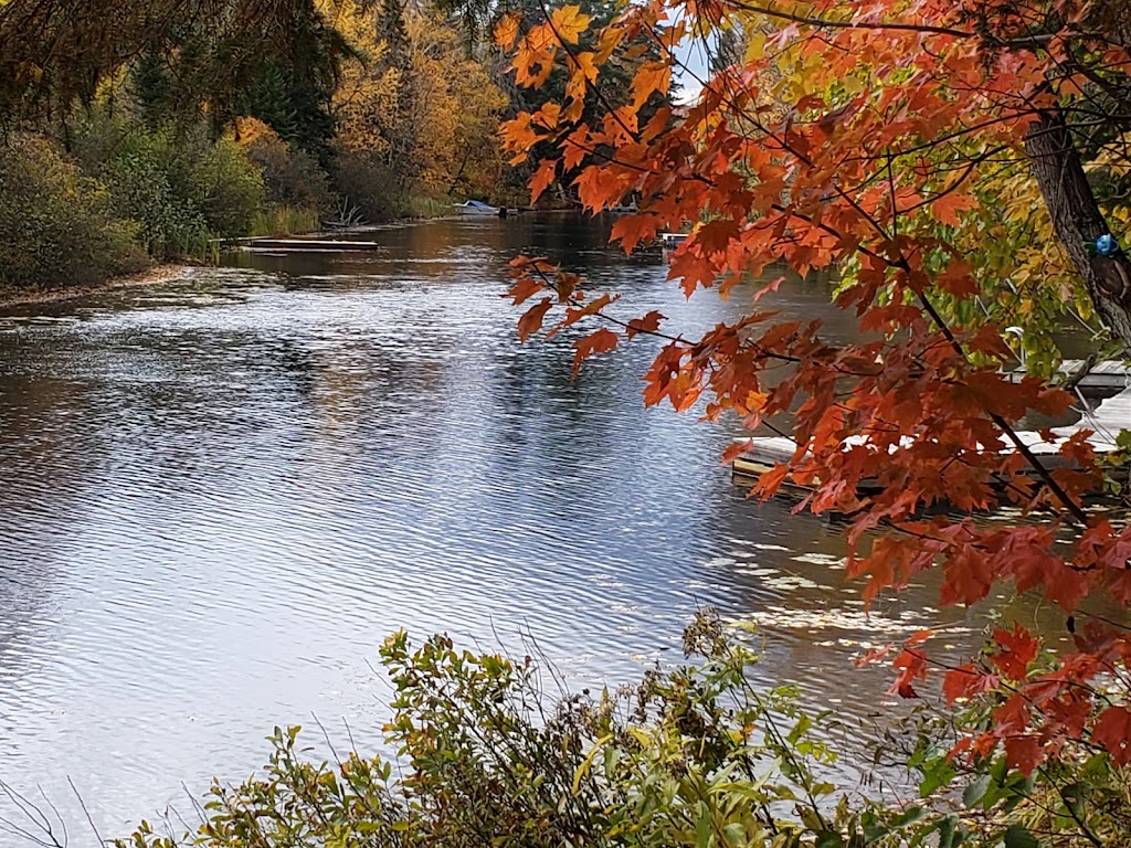 Lillie Kup Campground And RV Park | 101 Doe Lake Rd, Katrine, ON P0A 1L0, Canada | Phone: (705) 382-3410