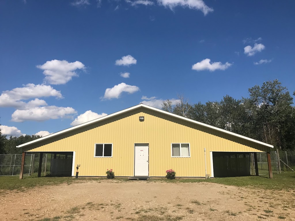 Kilwinning Kennels | 51063 Range Rd 224, Sherwood Park, AB T8C 1H1, Canada | Phone: (780) 996-4523