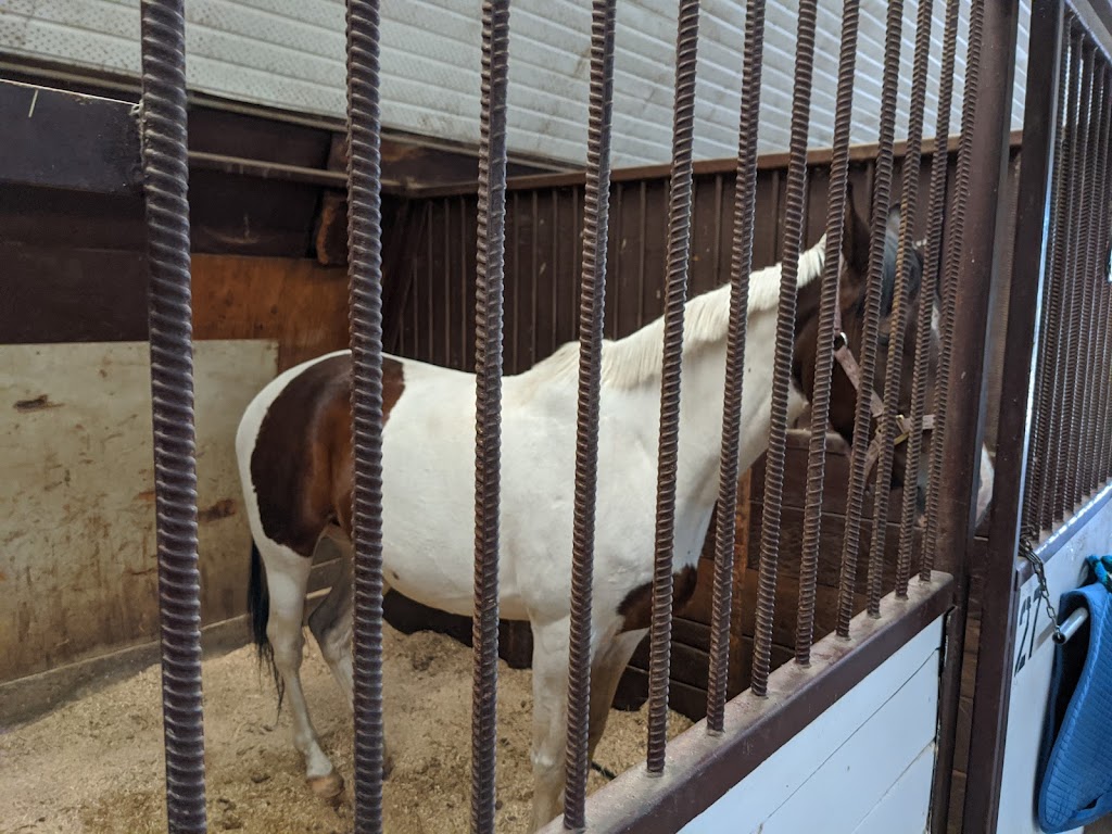 Paramount Equestrian Centre | Deerview Dr, De Winton, AB T0L 0X0, Canada | Phone: (403) 938-3671