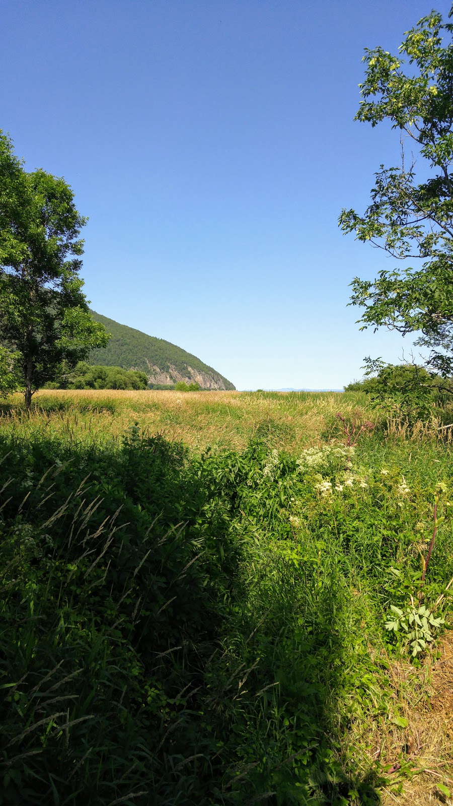 Cap Tourmente National Wildlife Area | Cap Tourmente National Wildlife Area, 570 Chemin du Cap Tourmente, Saint-Joachim, QC G0A 3X0, Canada | Phone: (418) 827-4591