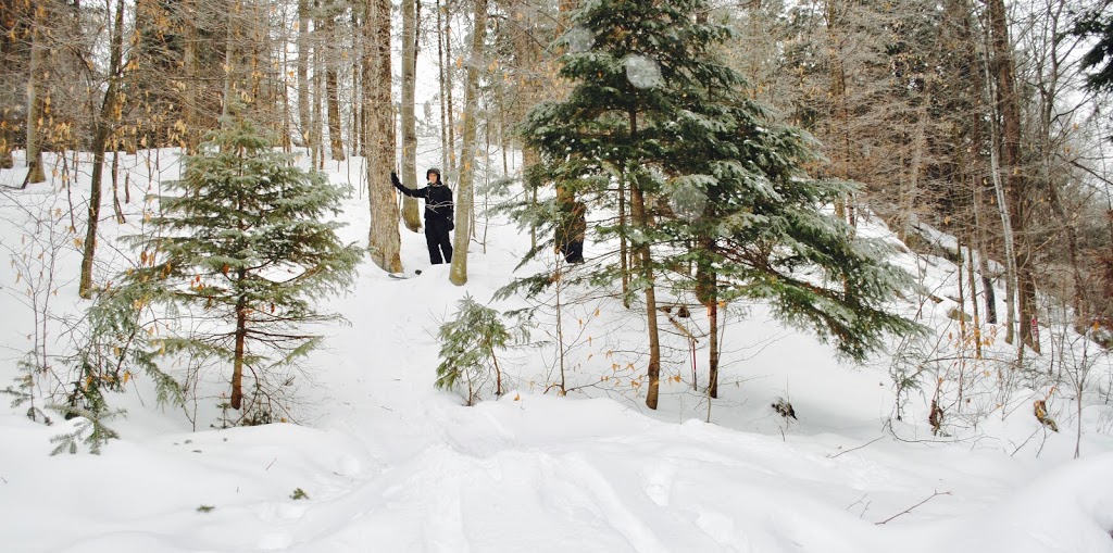 Mont Pygmy - Snow Park - Ski Club - Camping | 1170 Rue dEntremonts, Sainte-Adèle, QC J0R, Canada, Canada