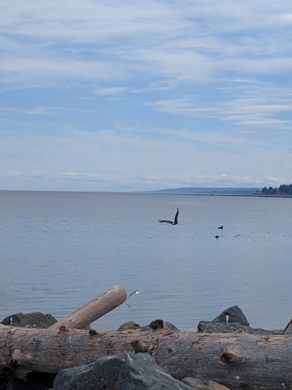 Shell | 2574 S Island Hwy, Campbell River, BC V9W 1C6, Canada | Phone: (250) 923-4612