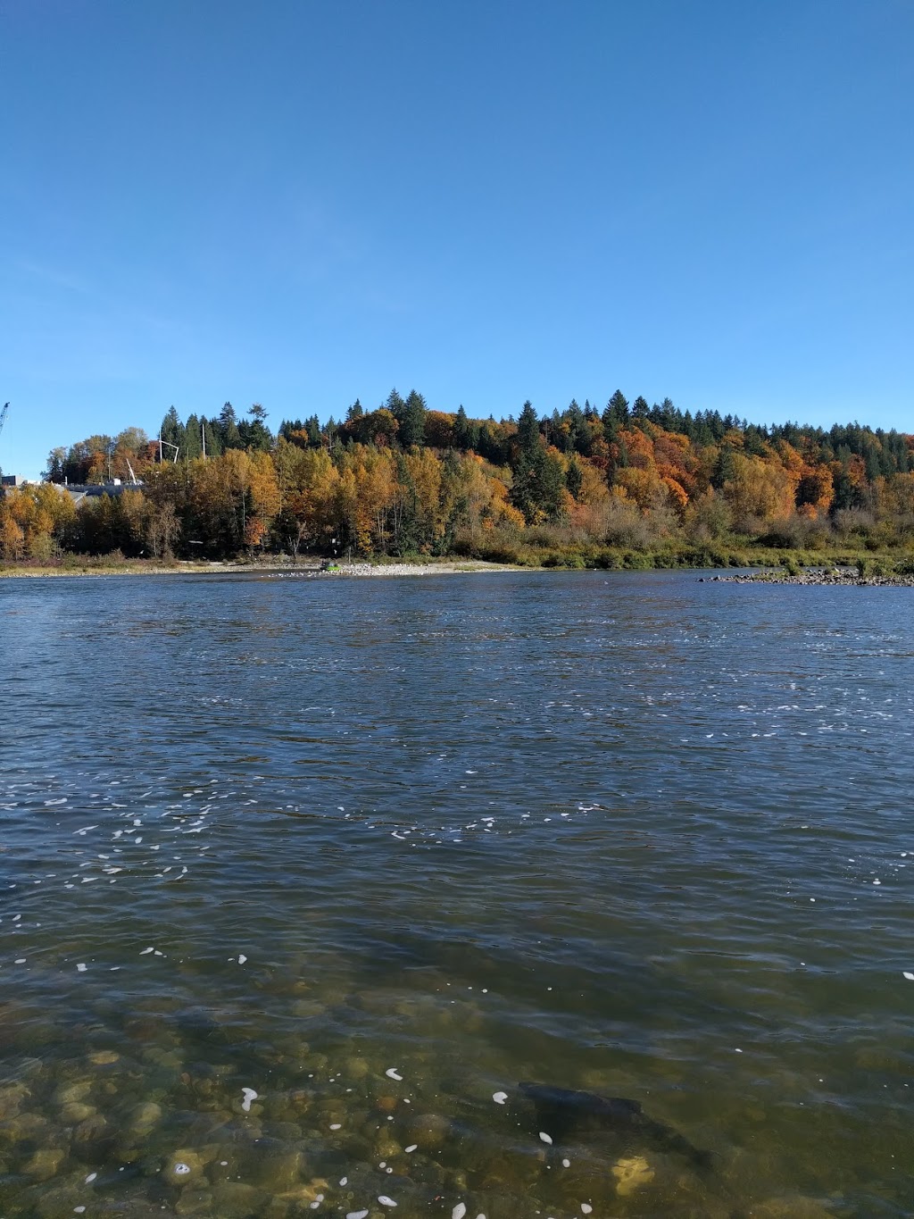 Ruskin Dam | Hayward St, Mission, BC V4S, Canada