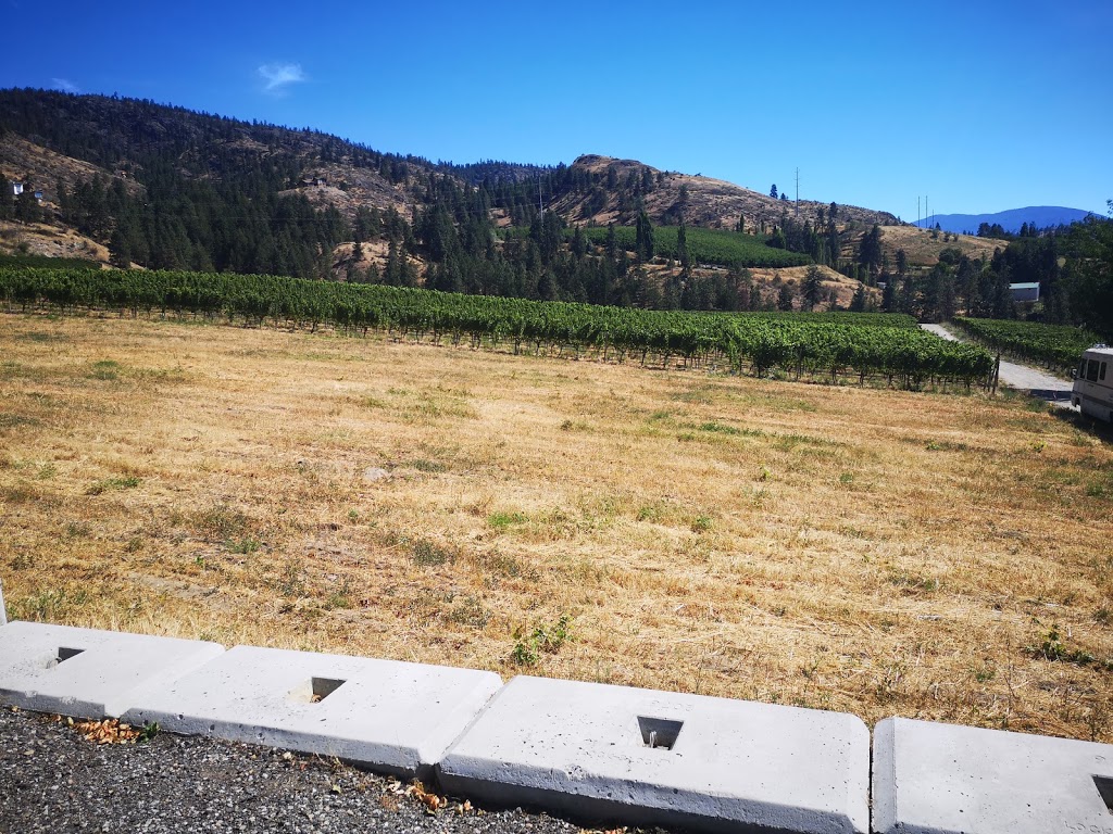 Cactus Tree Inn | 5887 Main St, Oliver, BC V0H 1T0, Canada | Phone: (250) 498-2225