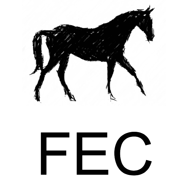 Fidelity Equestrian Centre (FEC) | Site 14, Box 63, RR1, Strathmore, AB T1P 1J6, Canada | Phone: (403) 797-0982