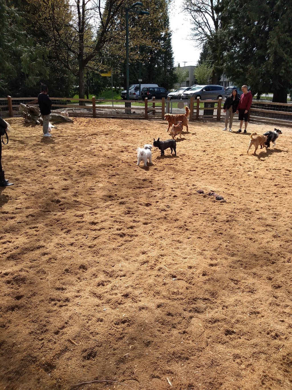 Renfrew Ravine Dog Park | Renfrew-Collingwood, Vancouver, BC V5M 2Y3, Canada