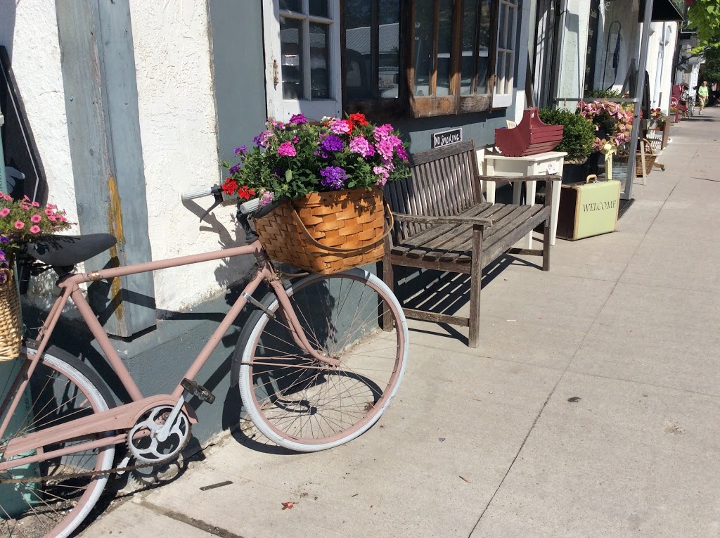 Wyley Gray & Co. | B 113, 30 Coldwater Rd, Coldwater, ON L0K 1E0, Canada | Phone: (289) 772-6787