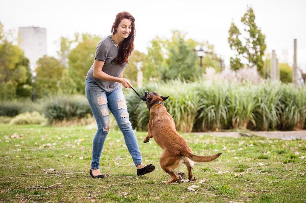 Évolution Canine - Éducation canine et dressage de chiens | 121 Chem. du Petit Rocher, Saint-Mathieu-du-Parc, QC G0X 1N0, Canada | Phone: (514) 553-1139