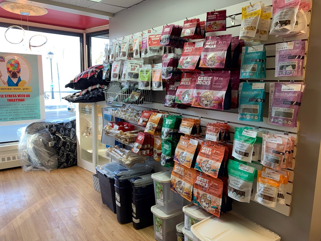 Douceurs Canines | 57 Rue du Pont, Bedford, QC J0J 1A0, Canada | Phone: (450) 248-4148