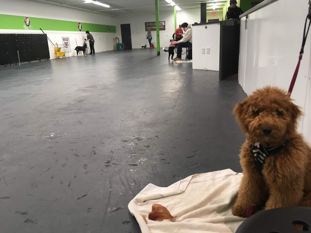 Joëlle Hamelin, intervenante en comportement canin | 119, boul. Sir-Wilfrid-Laurier (route 116), Saint-Basile-le-Grand, QC J3N 1A1, Canada | Phone: (514) 668-0950