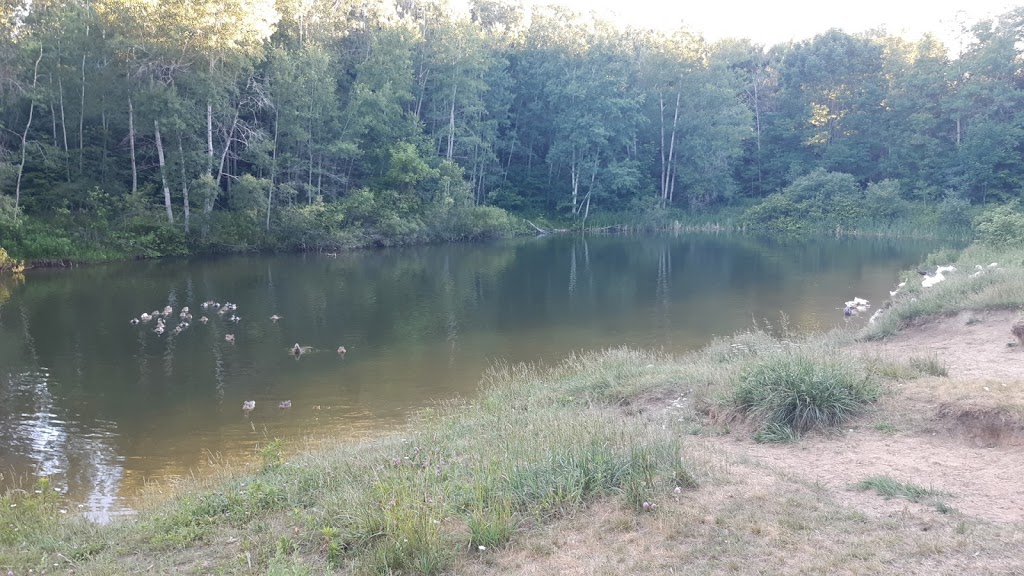Withchurch Conservation Area | Unnamed Road, Newmarket, ON L3Y 4W1, Canada