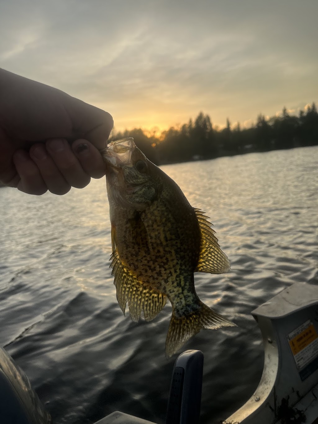 Betula Lake Resort | Provincial Rd Rte 307, Seven Sisters Falls, MB R0E 1Y0, Canada | Phone: (204) 348-2964