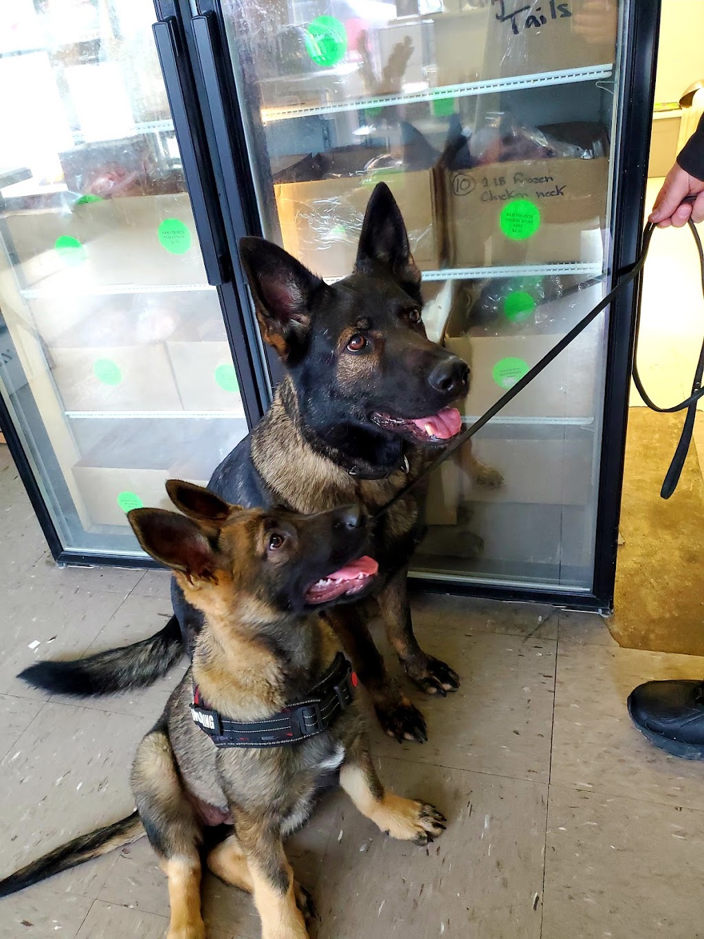 Raw For Pets | 43872 Talbot Line, St Thomas, ON N5P 3S7, Canada | Phone: (519) 207-2480