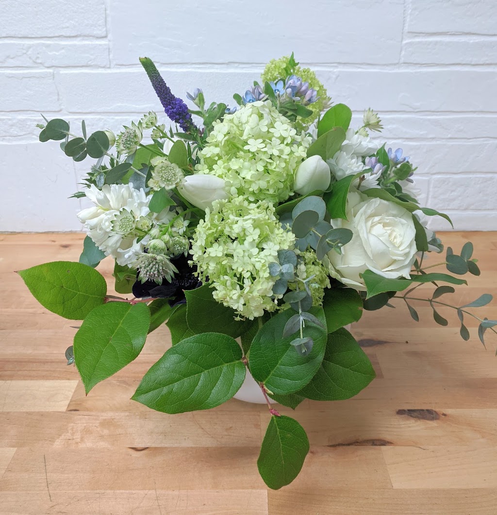 Studio Bloom | 10827 125 St NW, Edmonton, AB T5M 0L5, Canada | Phone: (780) 937-6012