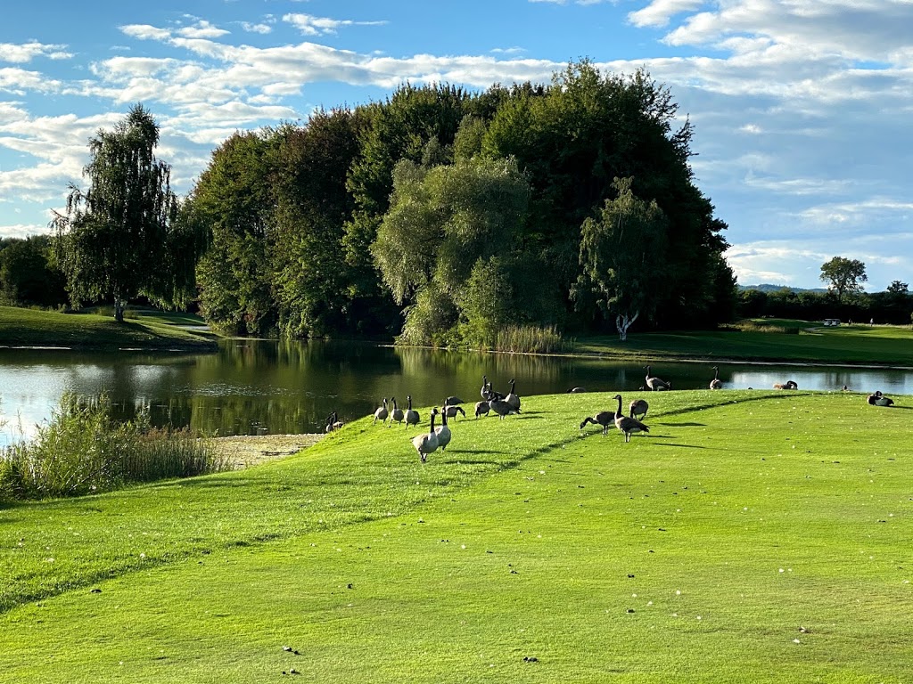 Watsons Glen Golf Club | 3430 Concession Rd 7, Pickering, ON L1Y 1C6, Canada | Phone: (905) 655-9187