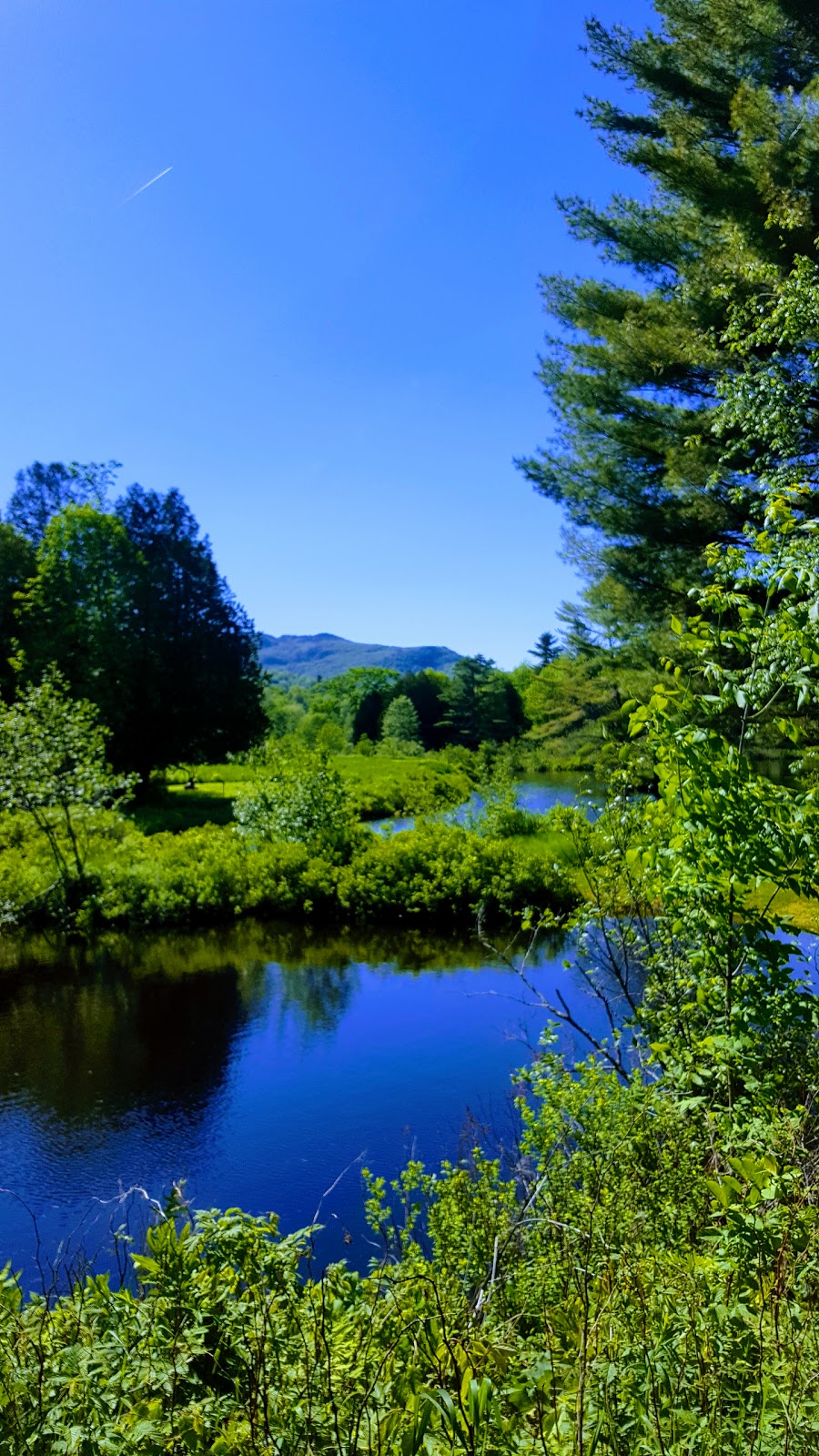 Orford Musique | 3165 Chemin du Parc, Orford, QC J1X 7A2, Canada | Phone: (819) 843-3981