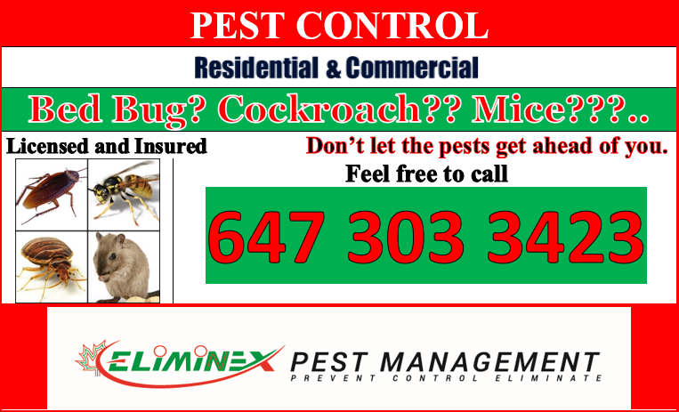 Eliminex Pest Management - 3028 Danforth Avenue, Suite 209 Toronto, M4C ...