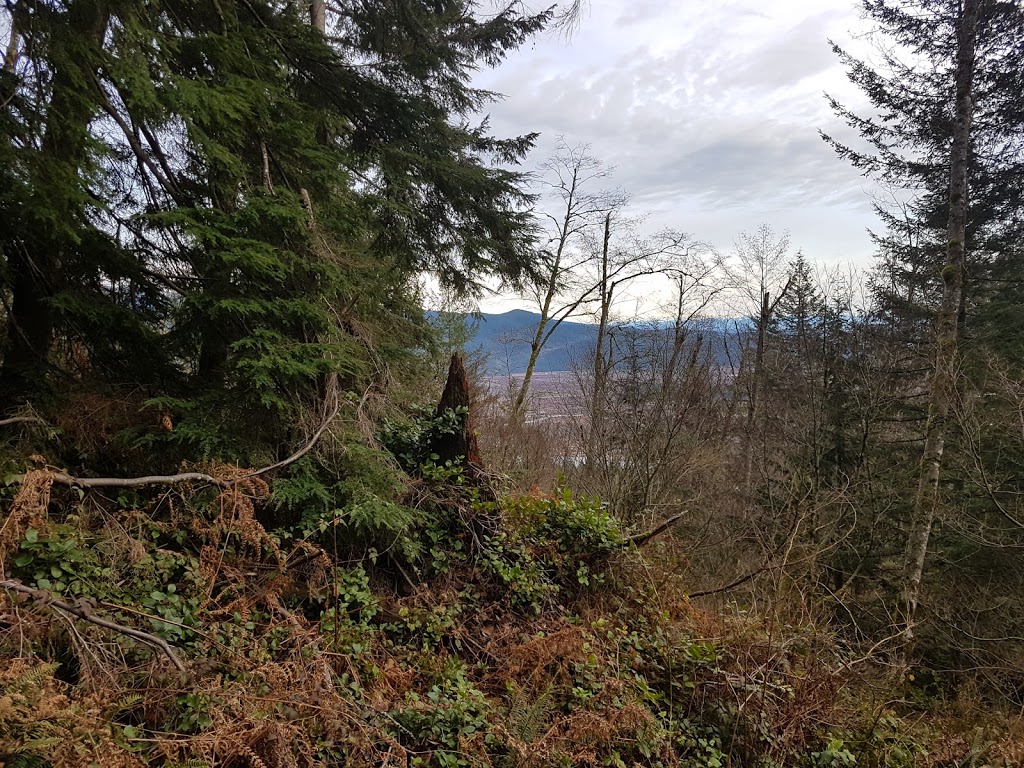 Munro Lake Trail | Munro, Lake Trail, Coquitlam, BC V3E 3H1, Canada