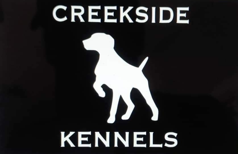 Creekside Kennels | 2878 ON-60, Township Of Horton, ON K7V 3Z6, Canada | Phone: (613) 570-4328